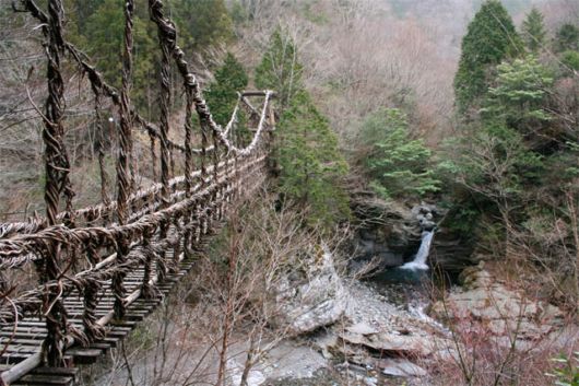 Fascinating Living Growing Architecture