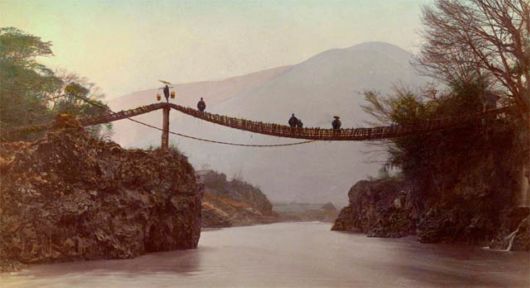 Fascinating Living Growing Architecture