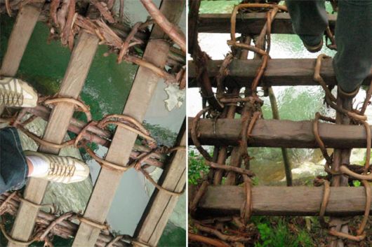 Fascinating Living Growing Architecture