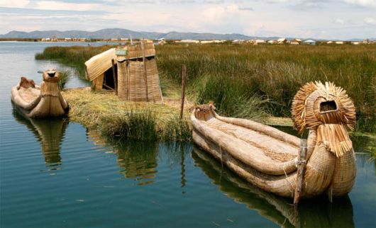 Fascinating Living Growing Architecture