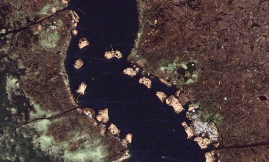 Fascinating Living Growing Architecture