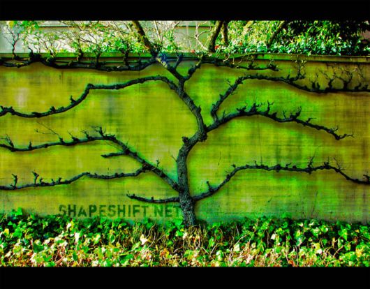 Fascinating Living Growing Architecture