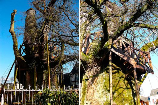 Fascinating Living Growing Architecture