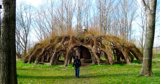 Fascinating Living Growing Architecture