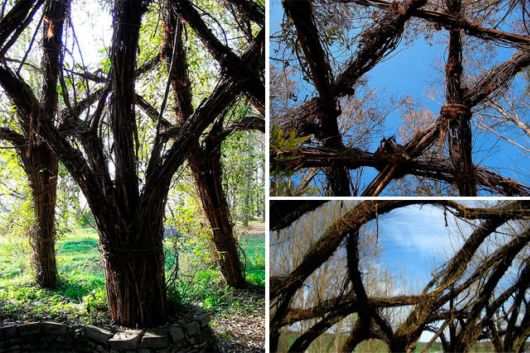 Fascinating Living Growing Architecture