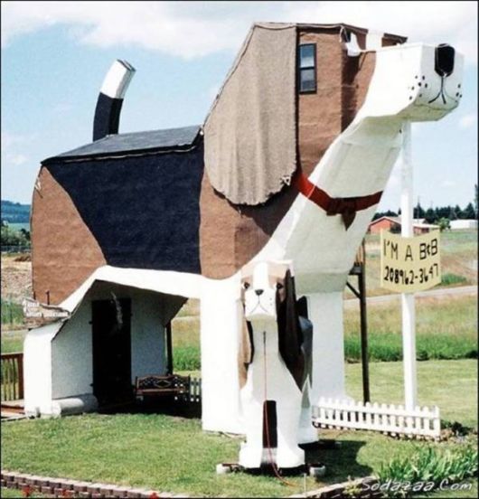 Unconventional Houses Around The World