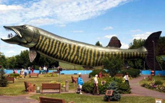 Unconventional Houses Around The World