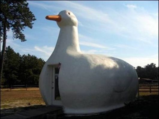 Unconventional Houses Around The World