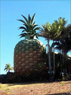 Unconventional Houses Around The World