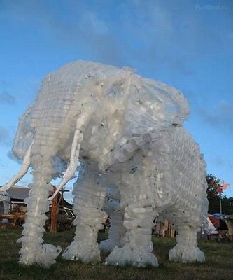 The Second Life of Plastic Bottles