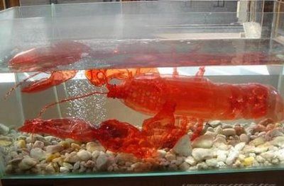 The Second Life of Plastic Bottles