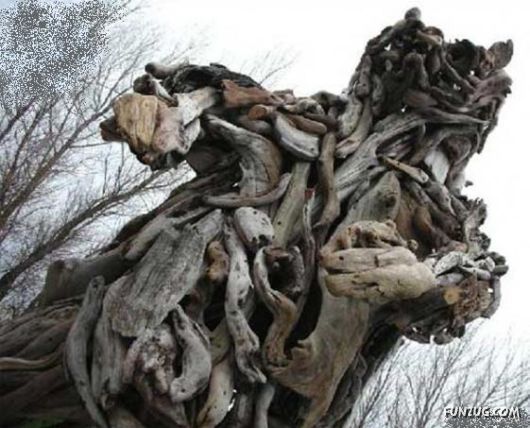 Amazing Art with Tree Branches