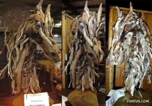 Amazing Art with Tree Branches