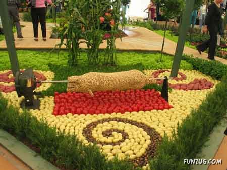 'Amazing Vegitable Art