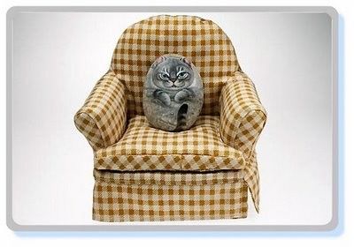 Cutest Animals Stone Art