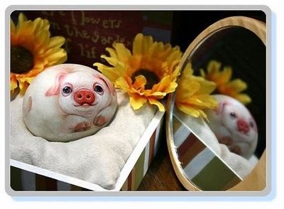 Cutest Animals Stone Art