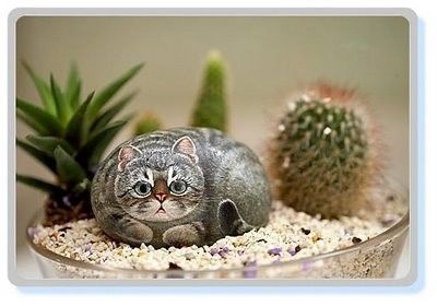 Cutest Animals Stone Art