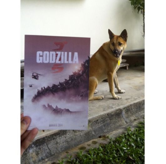 Awesome Mashups By Combining Movie Posters With Dogs