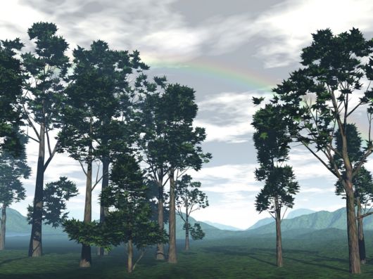 Beautiful 3D artwork Artwork