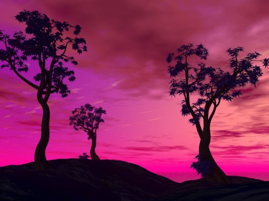 Beautiful 3D artwork Artwork