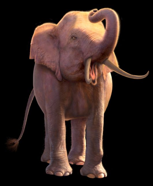 Creative Fantasy Artwork