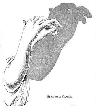 Amazing Hand Shadow Art