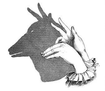 Amazing Hand Shadow Art