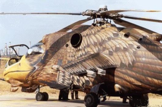 Is it a Helicopter or a Bird?