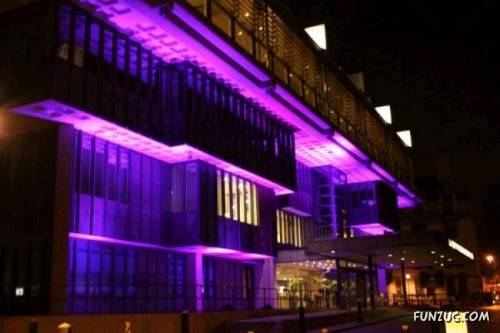 Cool Neon Lights Glow