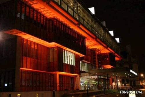 Cool Neon Lights Glow