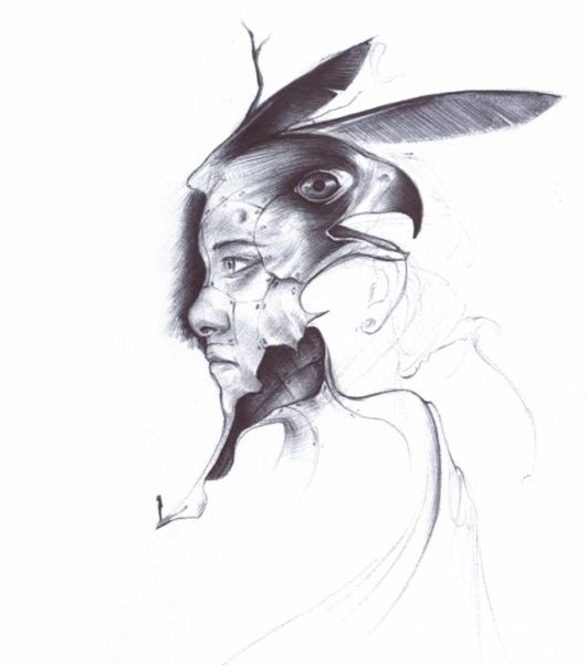 Superb Pencil Sketch Art