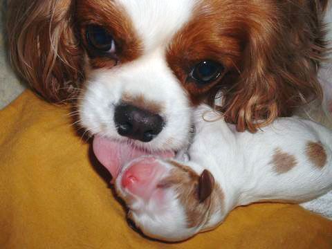 Cutest Babies You Seldom See!