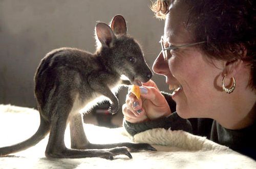 Cutest Babies You Seldom See!