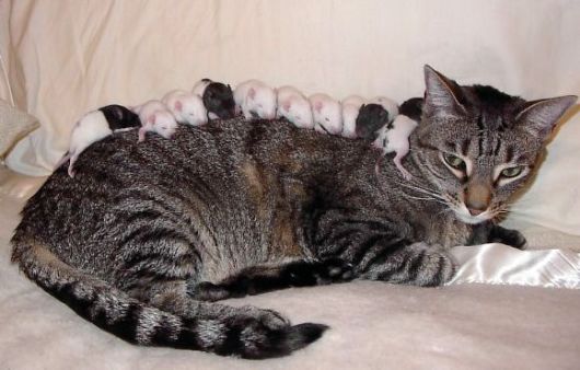 Cutest Babies You Seldom See!