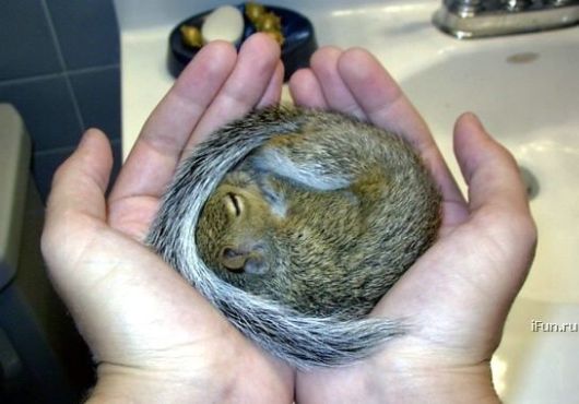 Cutest Babies You Seldom See!