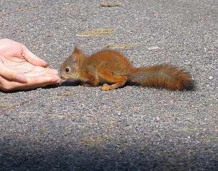 Cutest Babies You Seldom See!