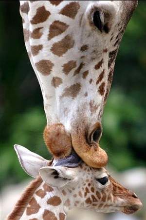 Cutest Babies You Seldom See!