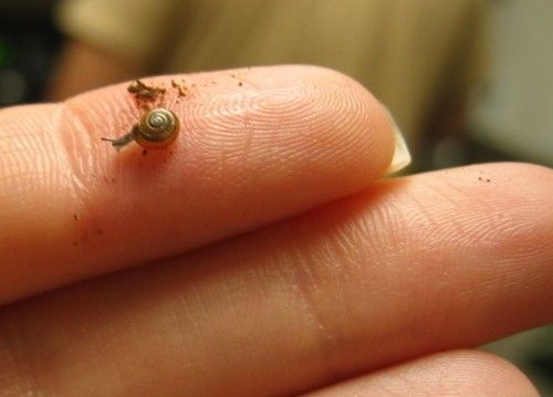 Cutest Babies You Seldom See!