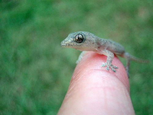 Cutest Babies You Seldom See!