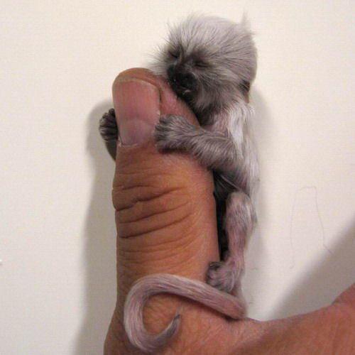 Cutest Babies You Seldom See!