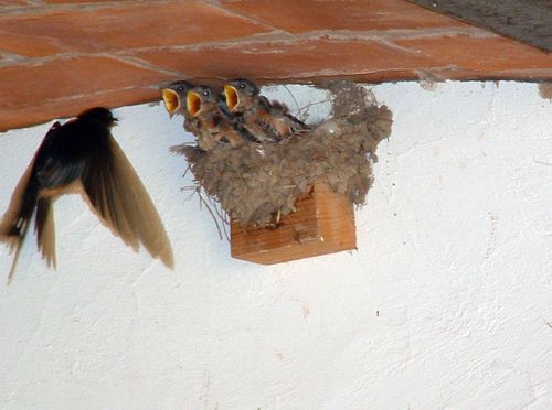 Cutest Babies You Seldom See!