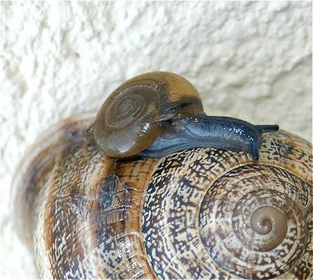 Cutest Babies You Seldom See!