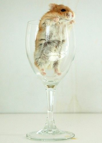 Cutest Babies You Seldom See!