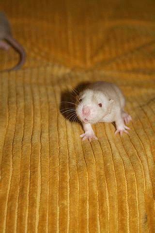 Cutest Babies You Seldom See!