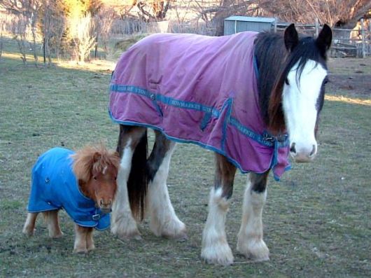 Cutest Babies You Seldom See!