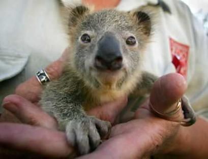 Cutest Babies You Seldom See!