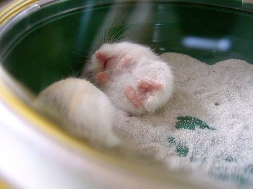 Cutest Babies You Seldom See!