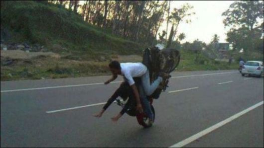 29 People You Just Know Are Dead Now