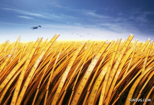 Amazing Imaginative Pictures