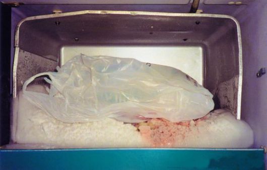 Bathrooms And Kitchens Of American Bachelors